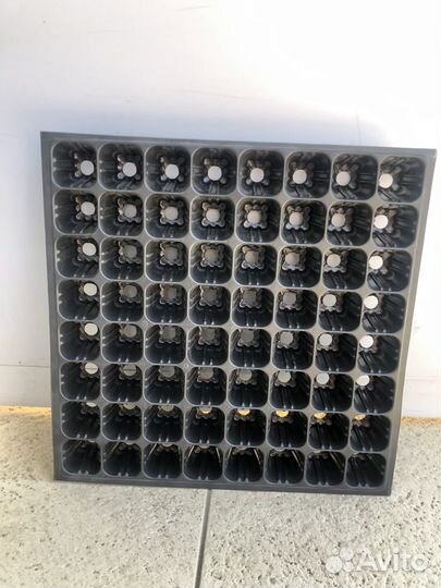 Кассеты для рассады