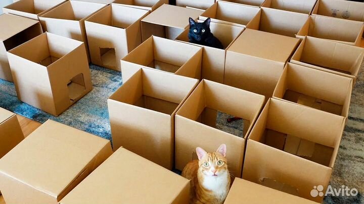 Упаковщик/ Еженедельная оплата