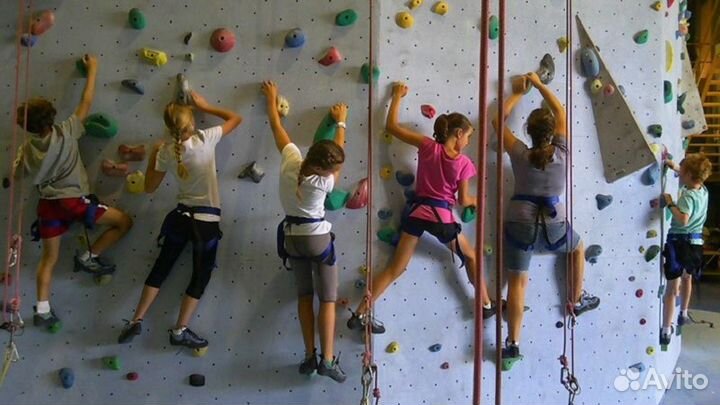 Скалодром с очень качественными камнями-зацепами