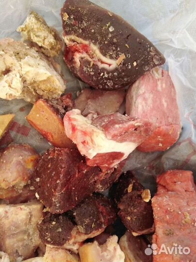 Мясо корм для животных, собак говядина субпродукты