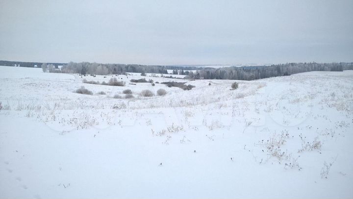 Участок 6,7 га (СНТ, ДНП)