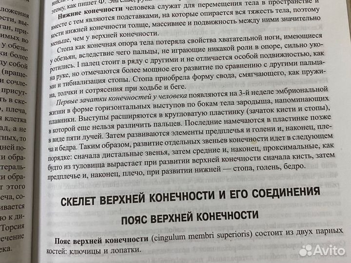 Анатомия человека Привес учебник