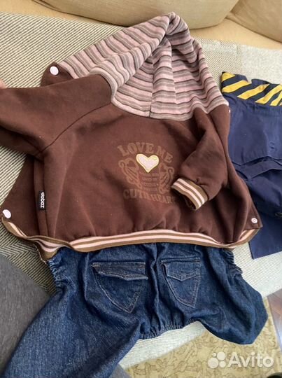 Одежда для лысой собаки