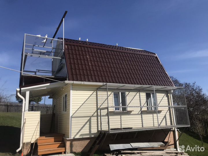 Голуби Пермские гривуны