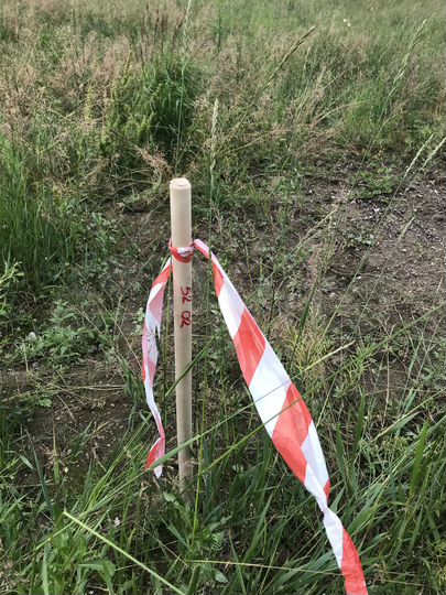 Участок 12,6 сот. (ИЖС)