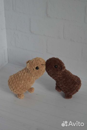 Капибара две игрушки