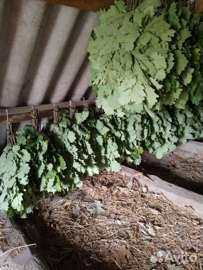 Продаю веники дубовые, черно клëн, липа