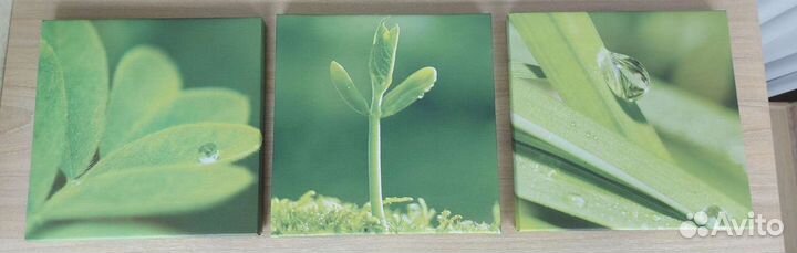 Модульные картины 25х25см