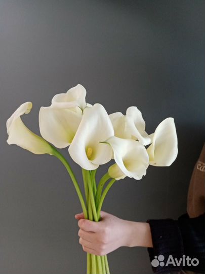 Цветы Каллы Букеты с доставкой