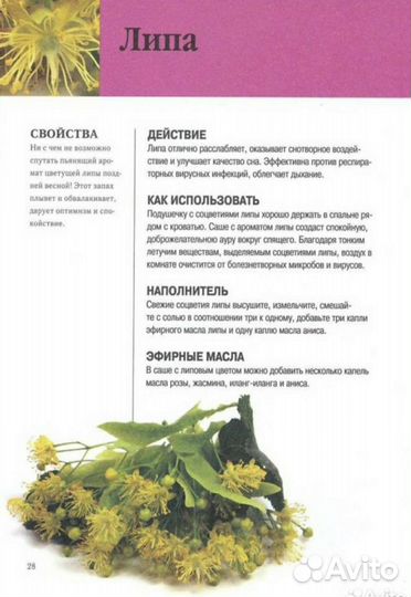 Цветы