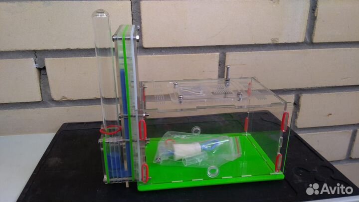 Формикарий ферма для муравьев