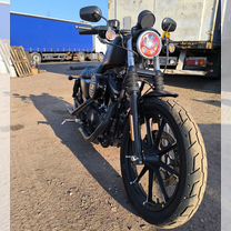 Harley davidson sportster 883 iron