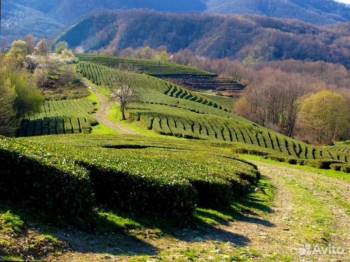 Джип Тур солохаул