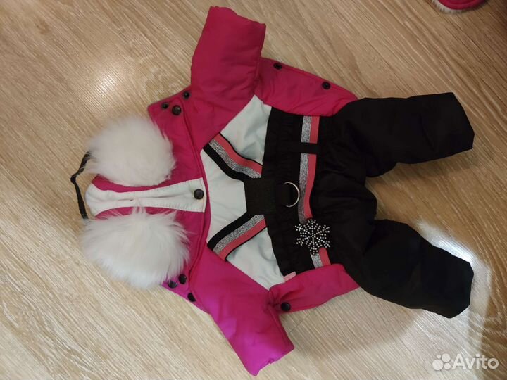 Зимний комбинезонс шапкой для собак