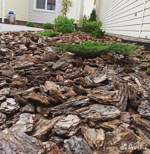 Кора сосны, лиственницы мульча