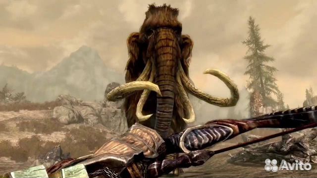 Elder Scrolls V Skyrim. Special Edition PS 4