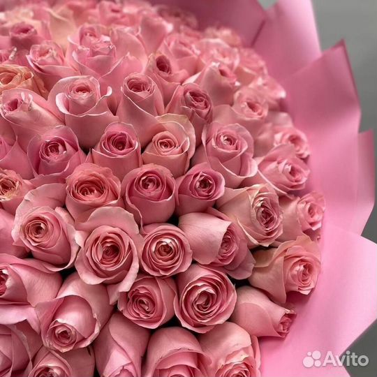 101 роза Эквадор букет цветы