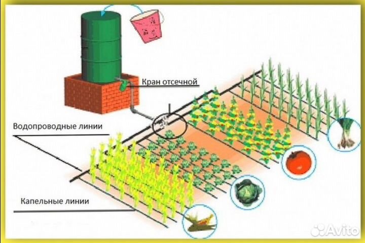 Автополив, контроллер полива, капельный полив