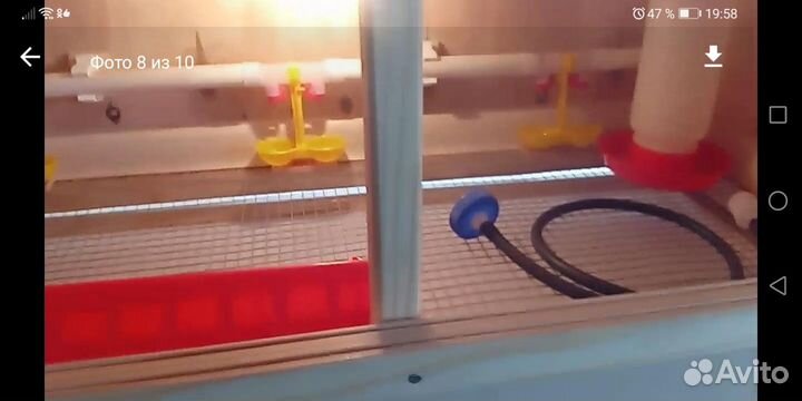 Курятники, брудеры, клетки, кормушки, насесты