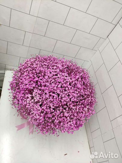 Гипсафилала букеты цветы розы