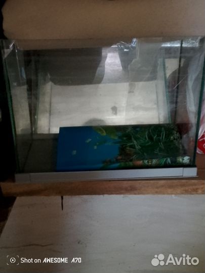 Аквариум