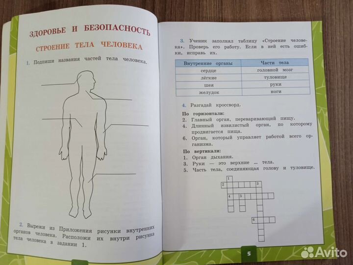 Рабочая тетрадь Окружающий мир 2 класс (2 часть)