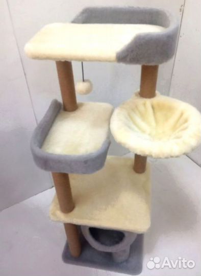 Супер комплекс кoгтеточка