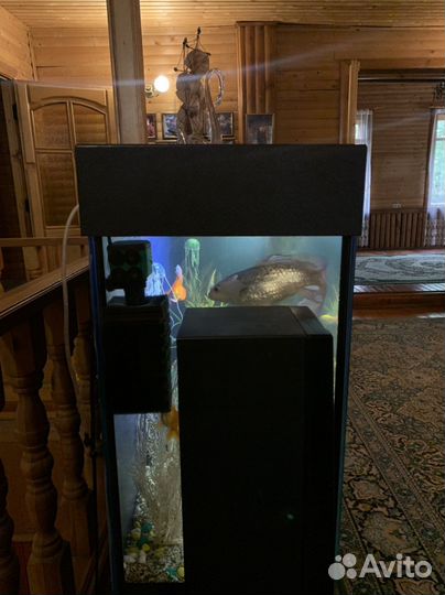Аквариум с тумбой 400 литров в идеальном состоянии