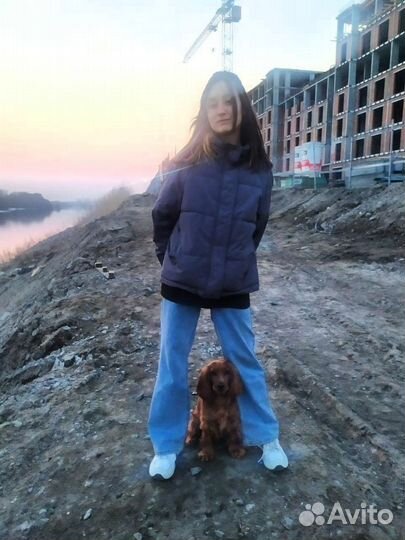 Выгул собак