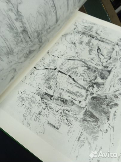 Книга шишкин