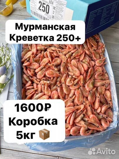 Креветки