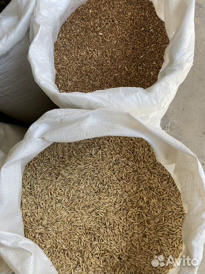 Зерно, отруби