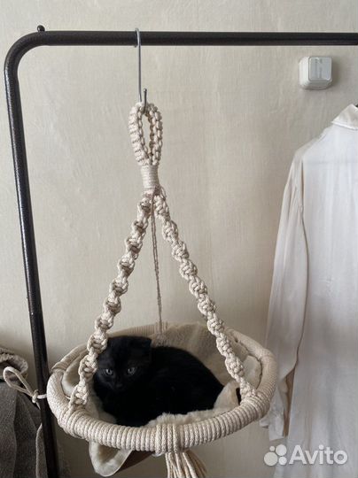 Макраме лежанка для котёнка подвесная