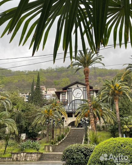 Экскурсии в Абхазию