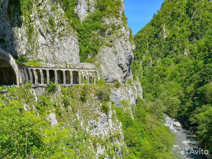 Экскурсия — Красная Поляна — Атмосферный треккинг