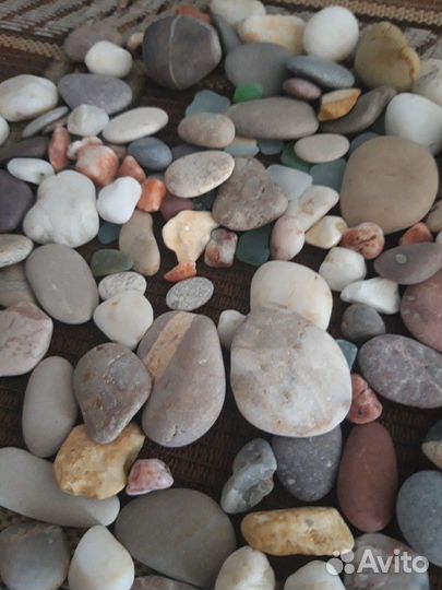 Морские ракушки и камушки с Чёрного моря