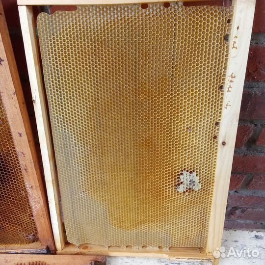 Рамки с вощиной(сушь)