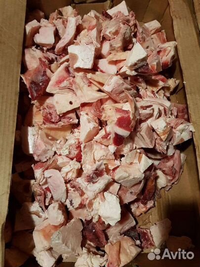 Корм для собак