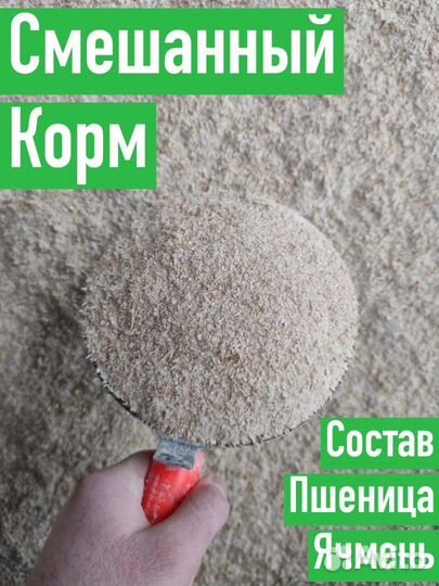 Корм для животных оптом