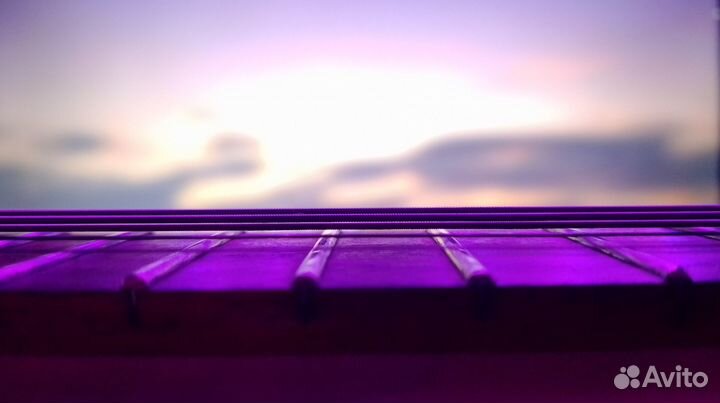 Электрогитара 5 струн (без звукоснимателей)