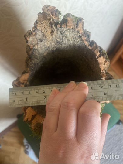 Кора пробкового дуба для террариума