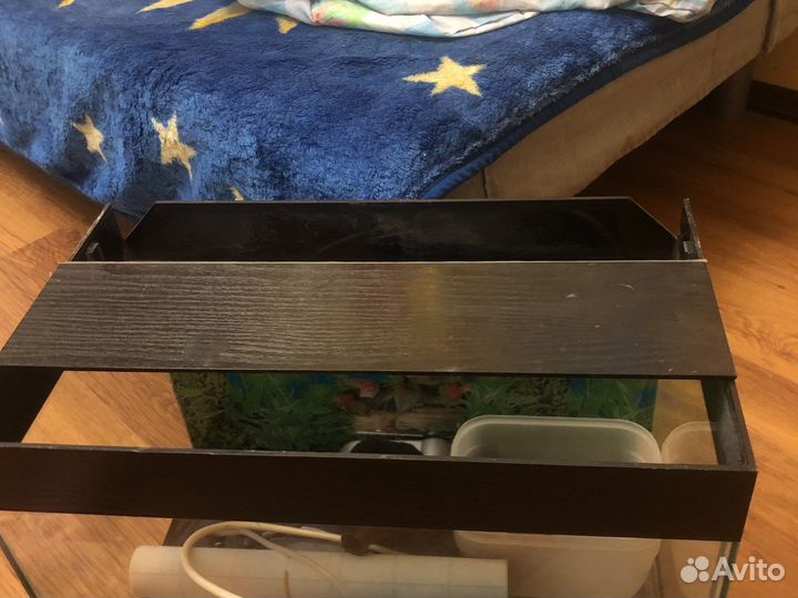 Террариум на 60 литров