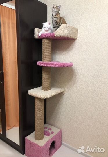 Когтеточка котомебель