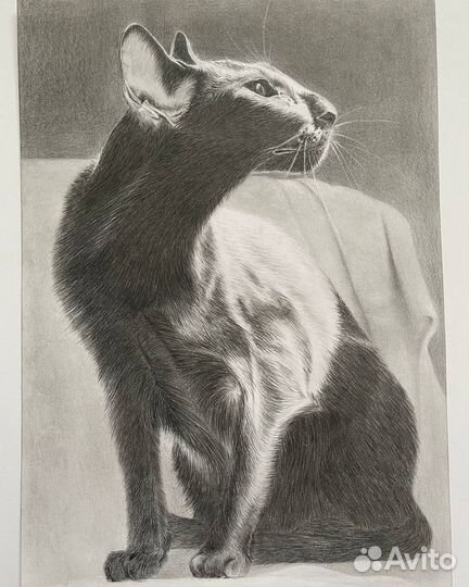 Портрет питомца по фото