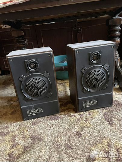 Колонки радиотехника s 30a