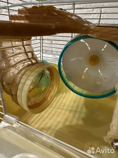 Клетка для джунгарского хомяка корм опилки