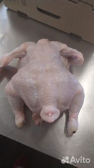 Тушка цыпленка бройлера (охлажденная)