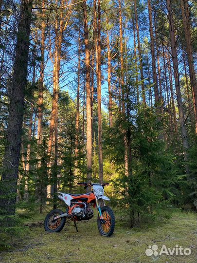 Питбайк avantis