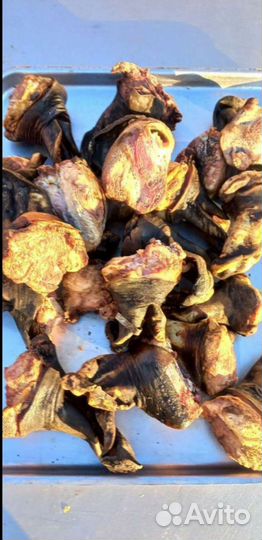 Корм для собак