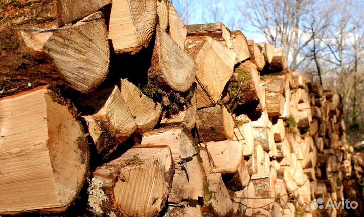 Дрова с Приозерска
